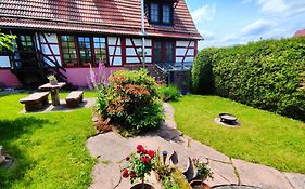 Ferienhaus Marre - Mit Grill, Feuerstelle Und Gartensauna